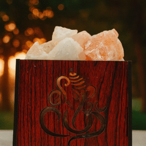 Gatimaan Rock SALT Ganesh Lamp