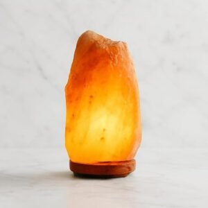 Gatimaan Rock SALT Natural Lamp
